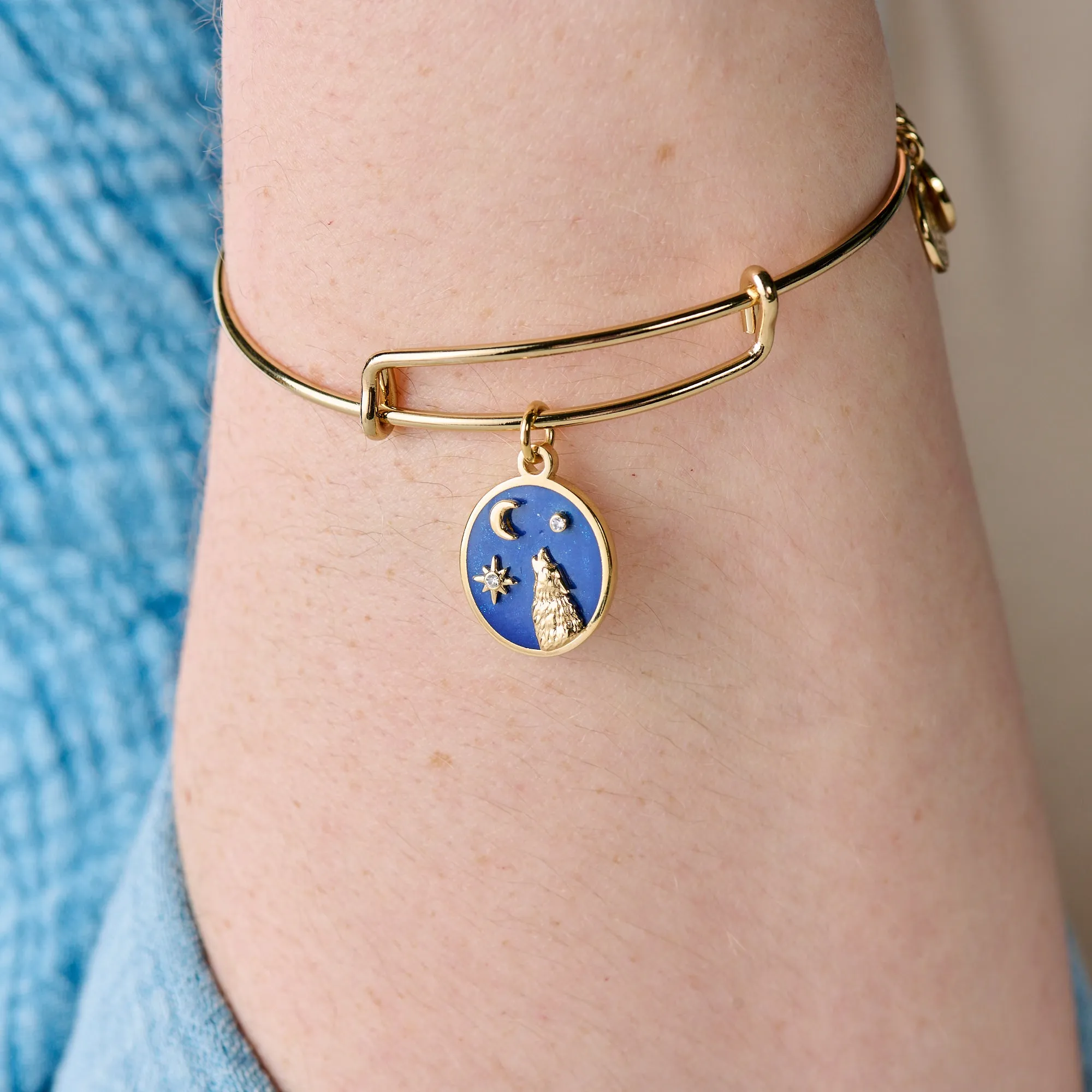 Wild Heart Charm Bangle